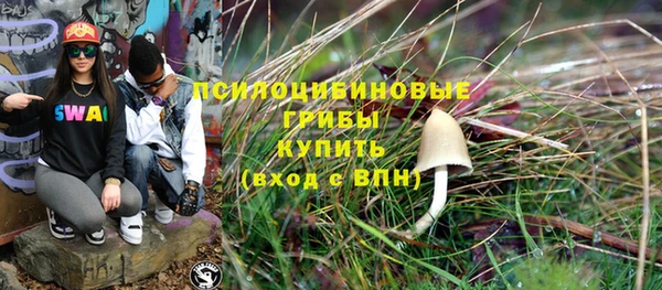 мяу мяу мука Арсеньев