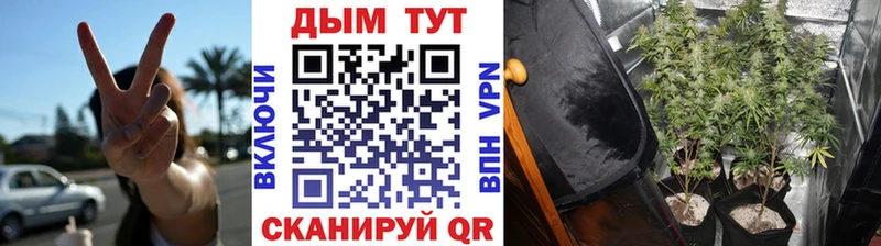 Шишки марихуана тримм  KRAKEN tor  Куса 